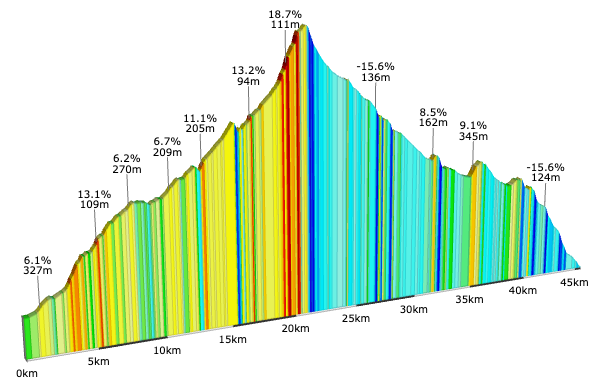 Gráfico cruce completo Palguín - Coñaripe