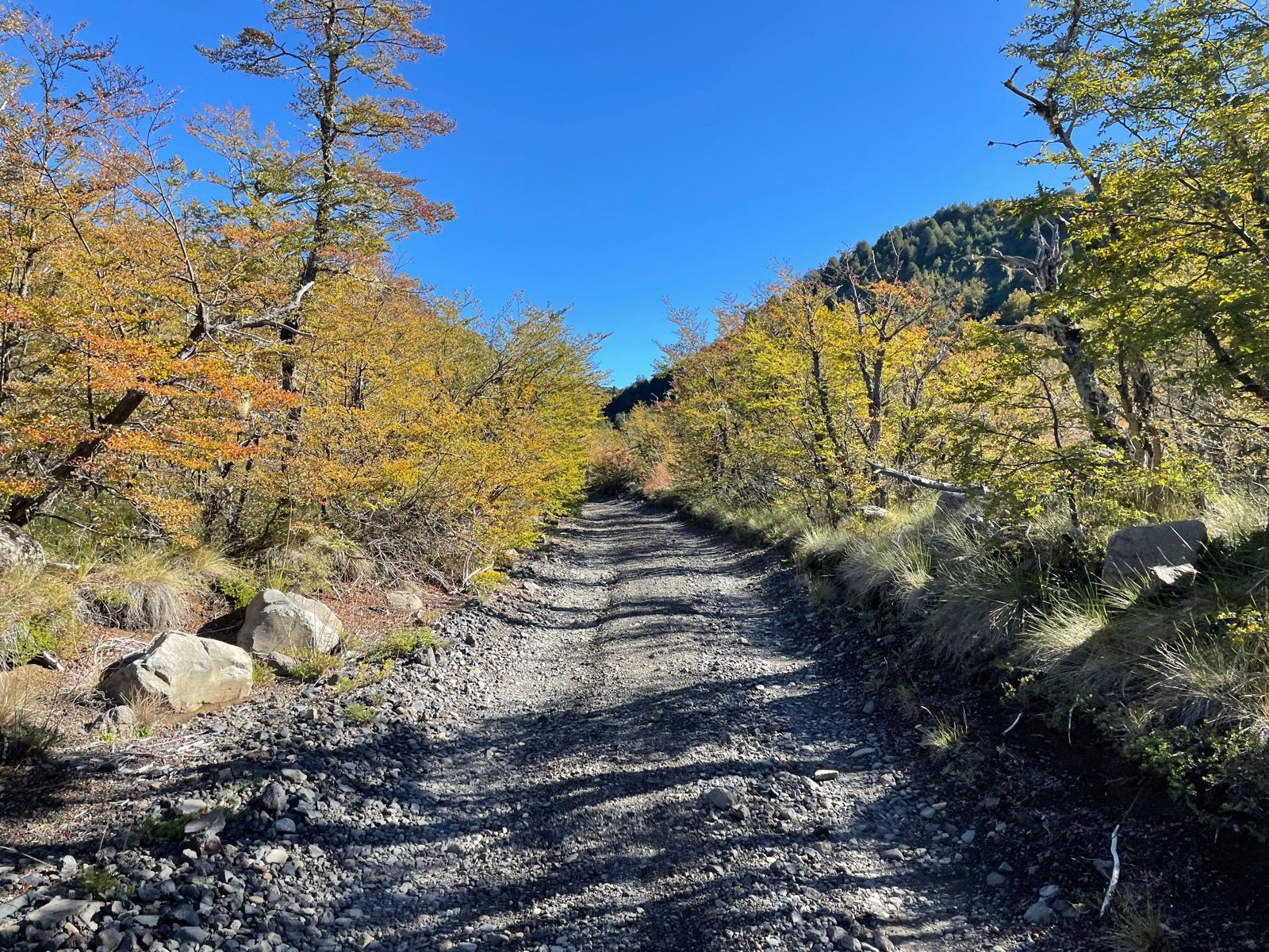 Subiendo hacia la cima